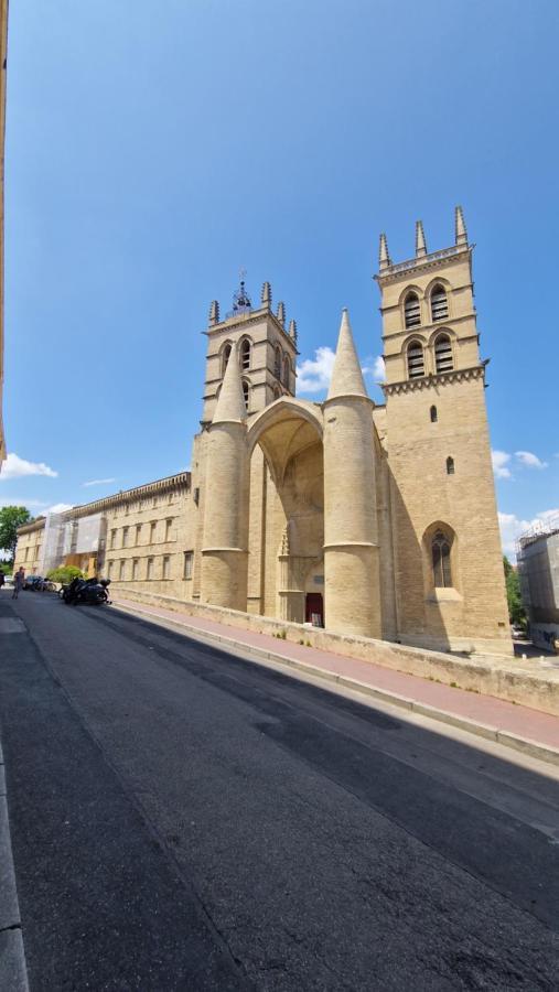 Le Petit Olivier En Coeur De Ville + Parking Incl. 몽펠리에 외부 사진