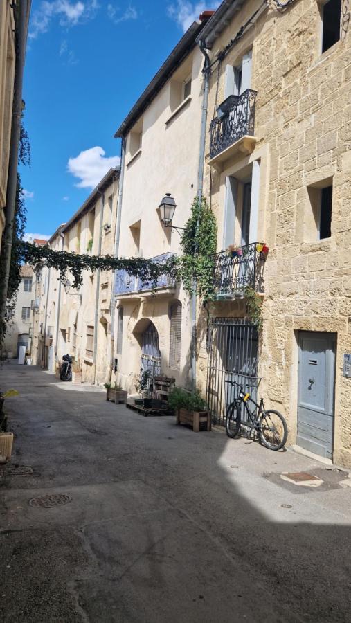 Le Petit Olivier En Coeur De Ville + Parking Incl. 몽펠리에 외부 사진